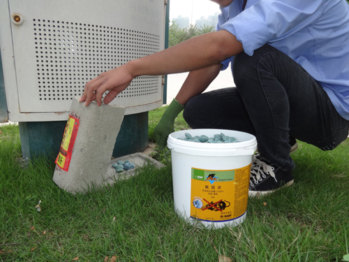 白蟻防治方法有哪些？